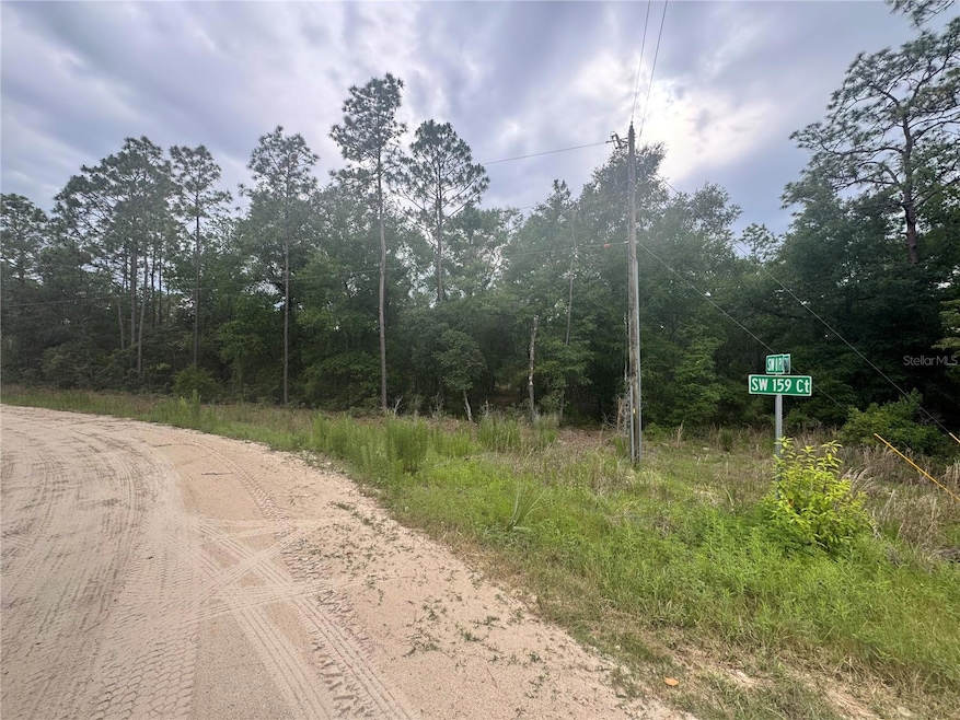 TBD SW 159th Ct, Ocala, FL 34481 - photo 1