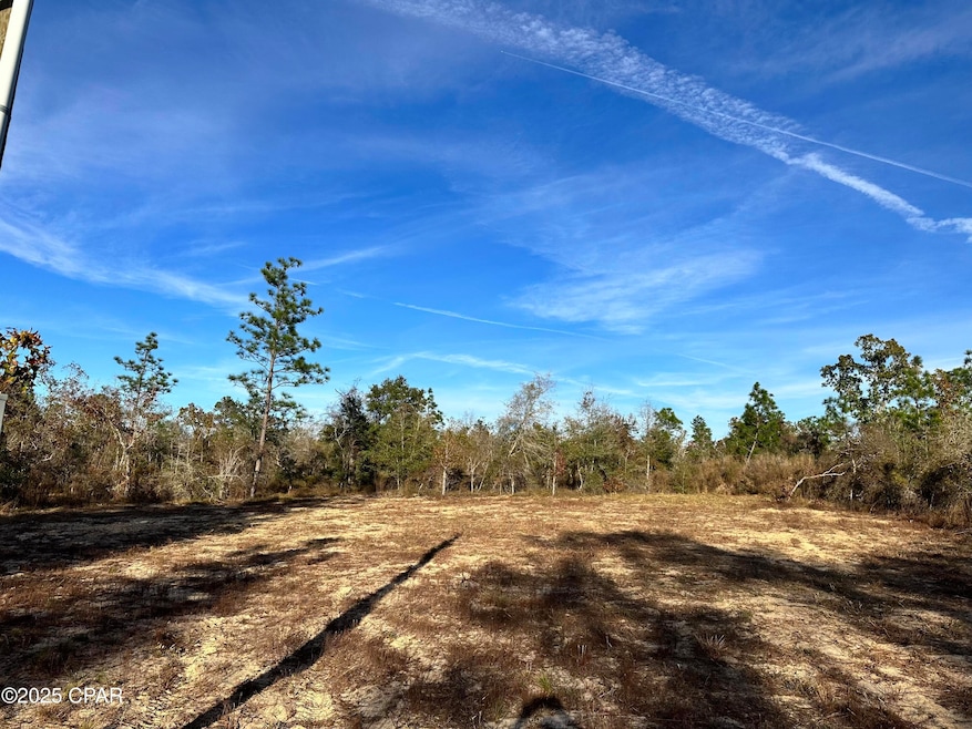 3015 Castillo Dr, Alford, FL 32420 - photo 1