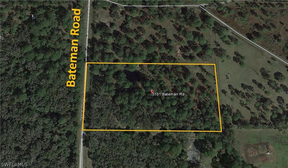 3101 Bateman Rd, Alva, FL 33920 - photo 1