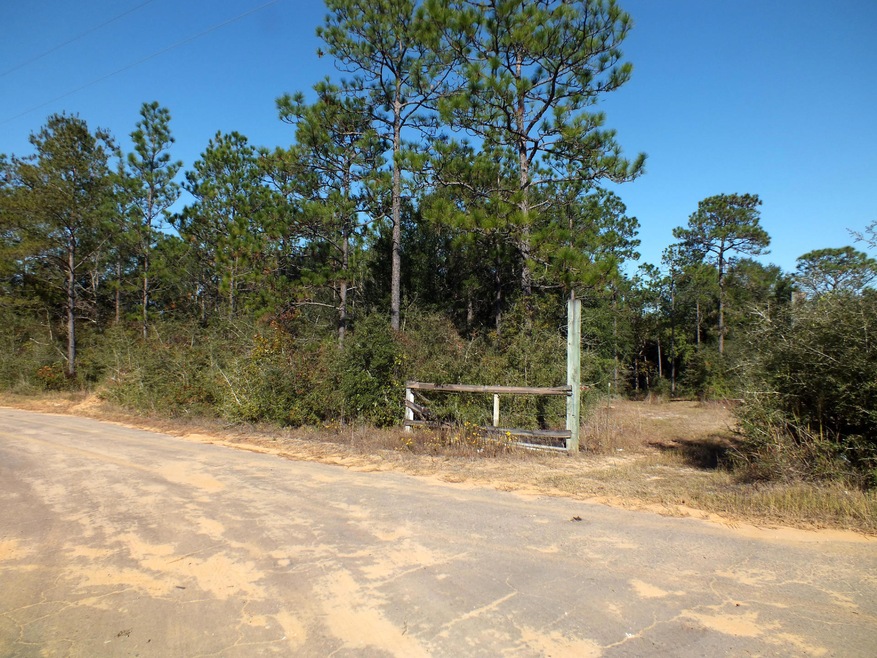 Lots 7 & 8 from Stewart Drive