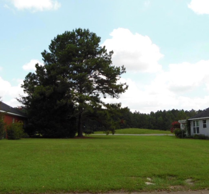 Lot 123 Glencastle Ct, Cordele, GA 31015 - photo 1