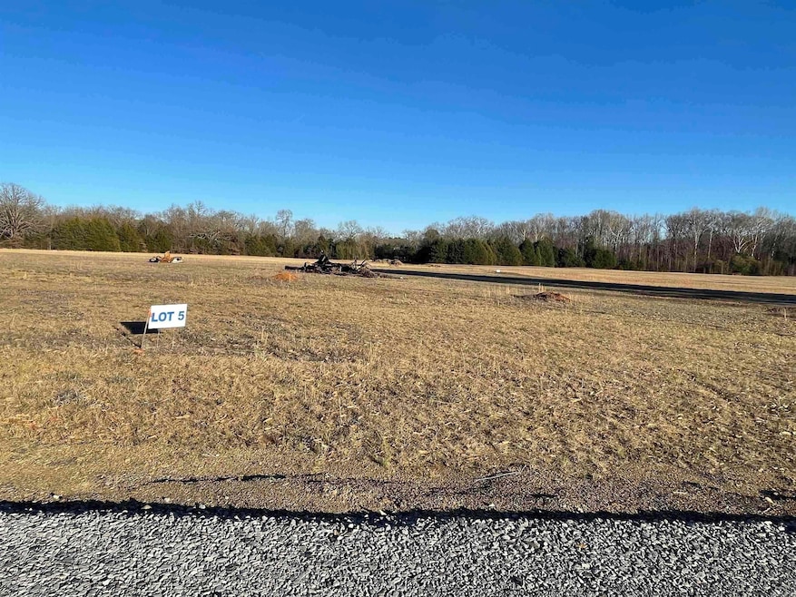 30 Addi Ln, Conway, AR 72032 - photo 1