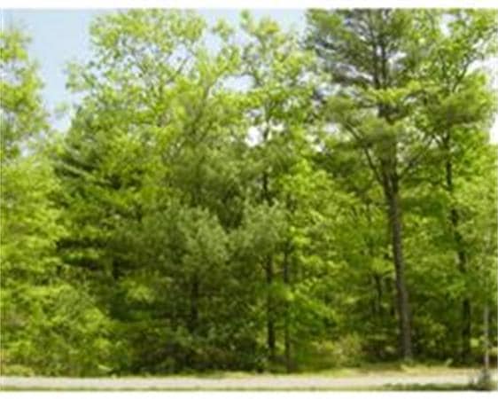 13 Jillian Dr, Bourne, MA 02532 - photo 1