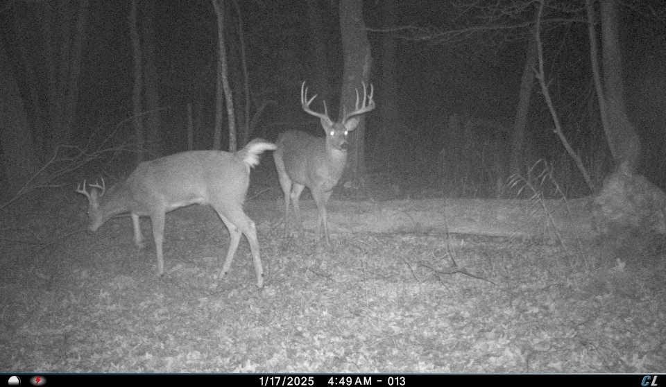 N8510 Fish Rd, New Lisbon, WI 53950 - photo 1