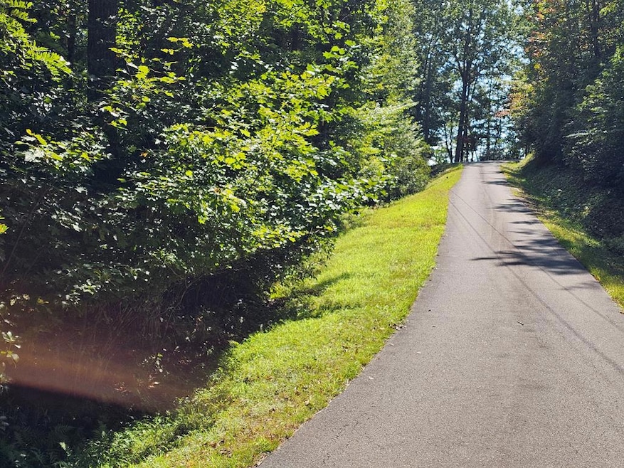 00 Trimont Mountain Rd, Franklin, NC 28734 - photo 1