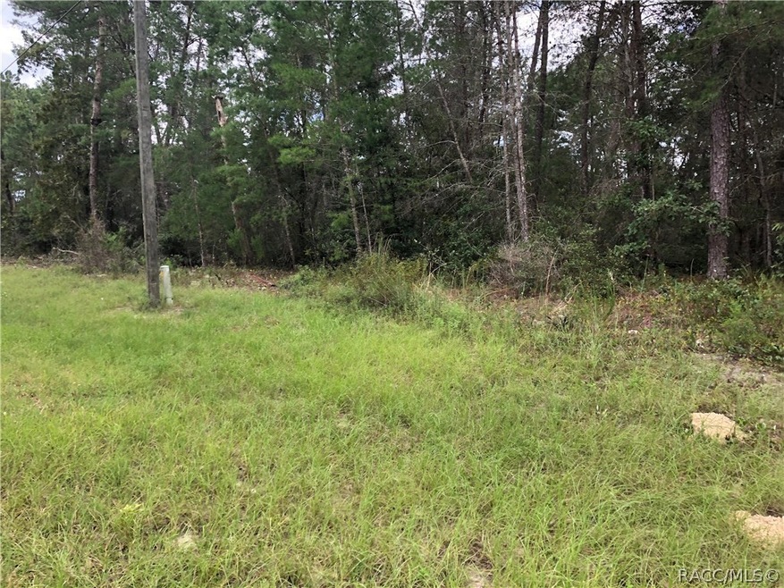 000 SW 165th St Rd, Ocala, FL 34473 - photo 1
