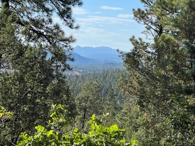 TBD Log Ridge Trail, Chama, NM 87520 - photo 1