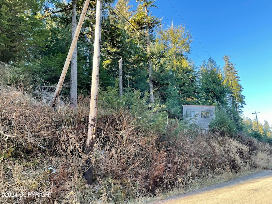 L9 B5 Beach Rd, Whale Pass, AK 99921 - photo 1