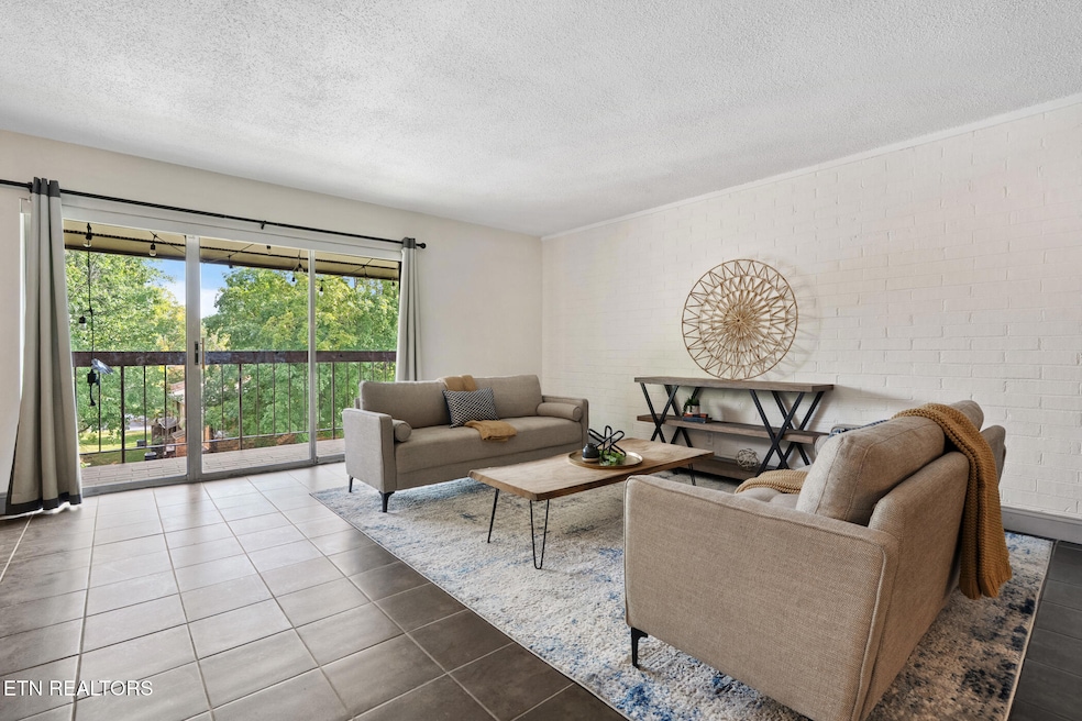 Light-filled Open-concept Living Area