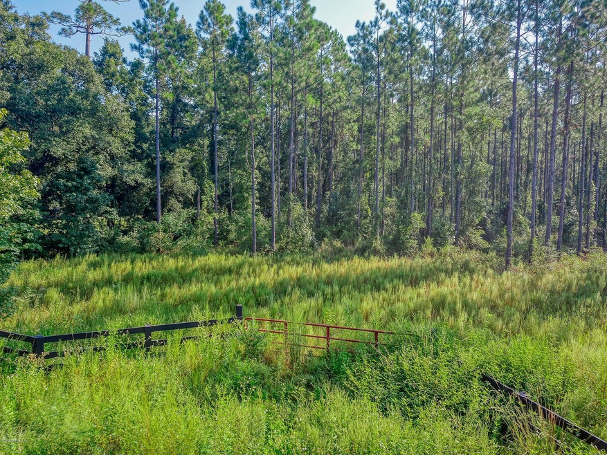 46150 Middle Rd, Callahan, FL 32011 - photo 1