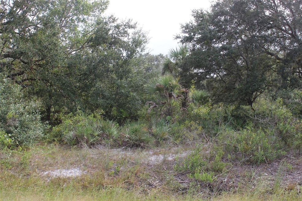 0 NW 304th unit Lot M MFRG5090060, Okeechobee, FL 34972 - photo 1