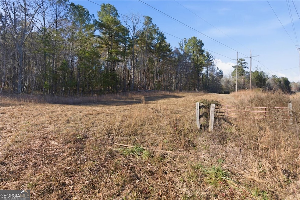 469 Lee Williams Rd, Carrollton, GA 30117 - photo 1