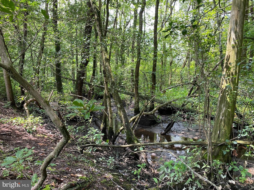 30822 White Cypress Cove, Laurel, DE 19956 - photo 1