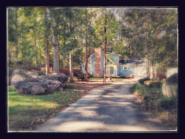 Main View
