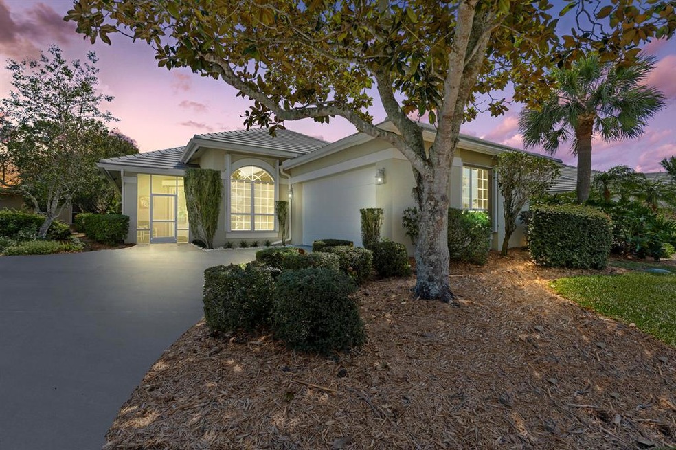 Front Sunset View