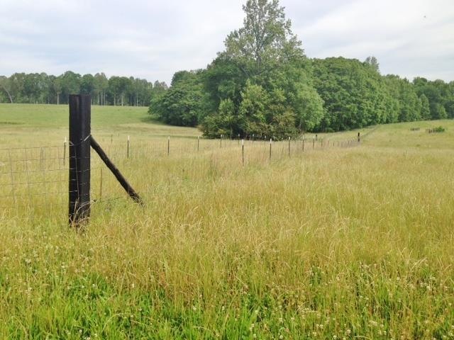 Fenced and cross fenced