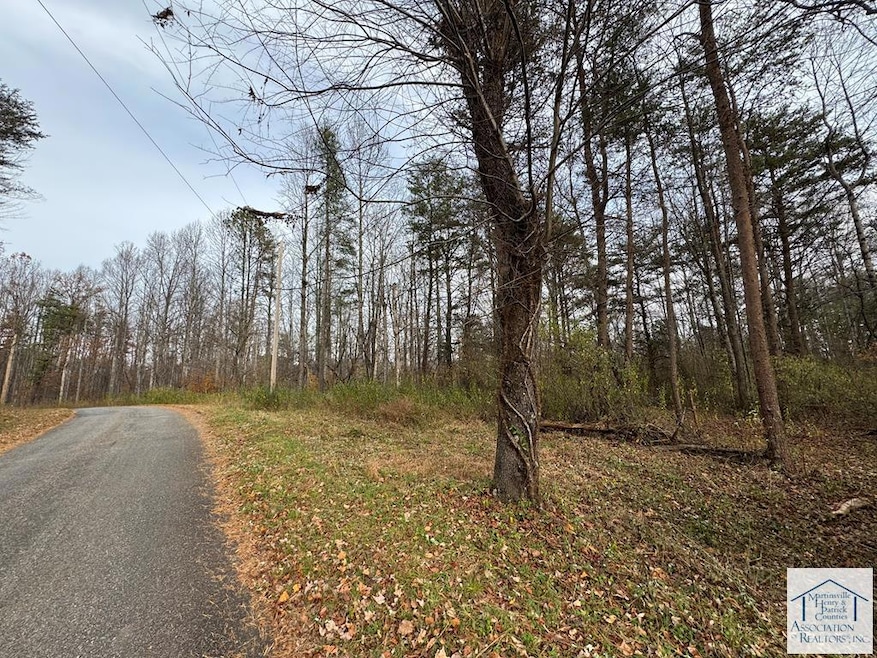 0 Pine Knoll Farms unit 145572, Stuart, VA 24171 - photo 1