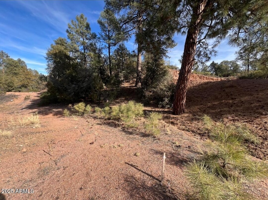 201 S Thunder Mountain unit 32, Payson, AZ 85541 - photo 1