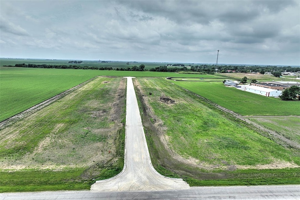 Lot 2 Baxmeyer Ln, Assumption, IL 62510 - photo 1