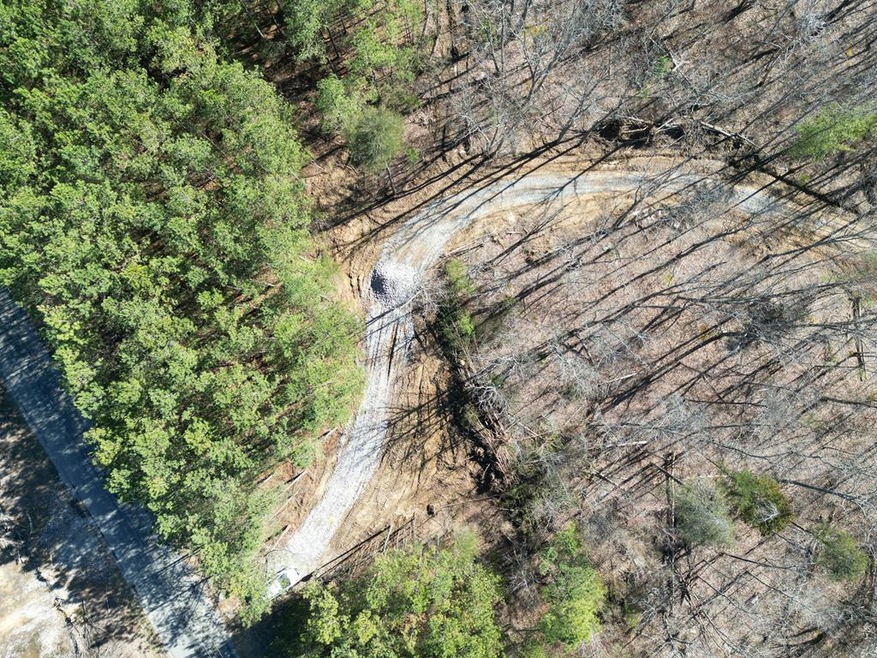 Tract 5 Thomas Springs Rd, Crossville, TN 38572 - photo 1