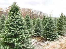 Christmas Creek Pic # 7