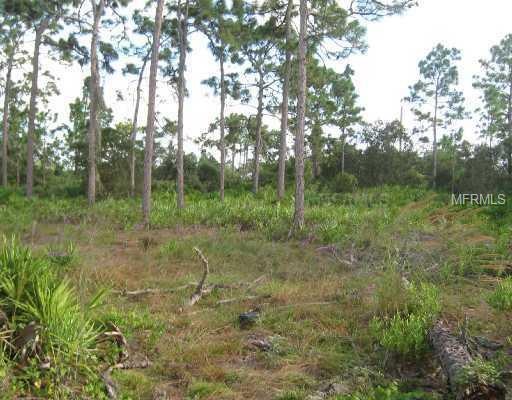 Mustang Ct, Saint Cloud, FL 34771 - photo 1