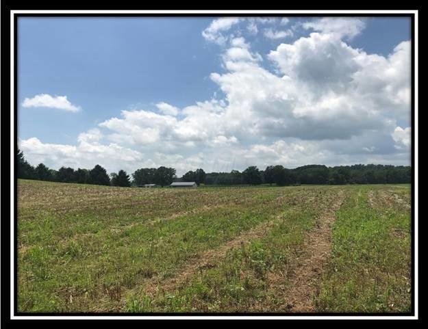 10364 Rankin Rd, Glenford, OH 43739 - photo 1