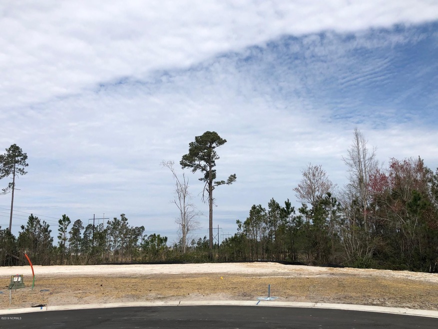 8444 Fontana Lake Ct, Leland, NC 28451 - photo 1