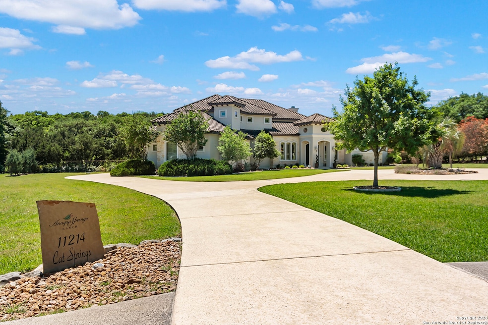 11214 Cat Springs, Boerne, TX 78006 - photo 1