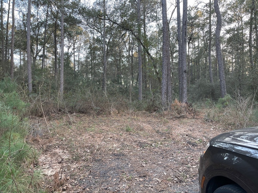 10311 Lake Dr, Willis, TX 77095 - photo 1