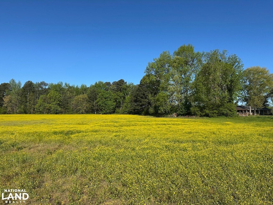 0 Parker Rd unit 25194062, Athens, AL 35614 - photo 1