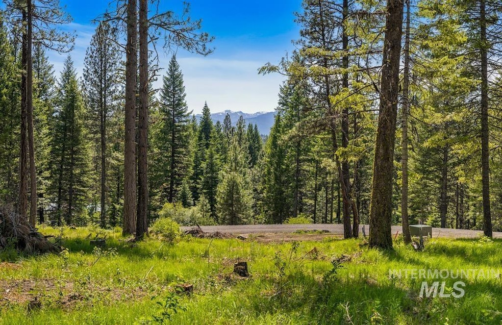 2 Spruce St, McCall, ID 83638 - photo 1