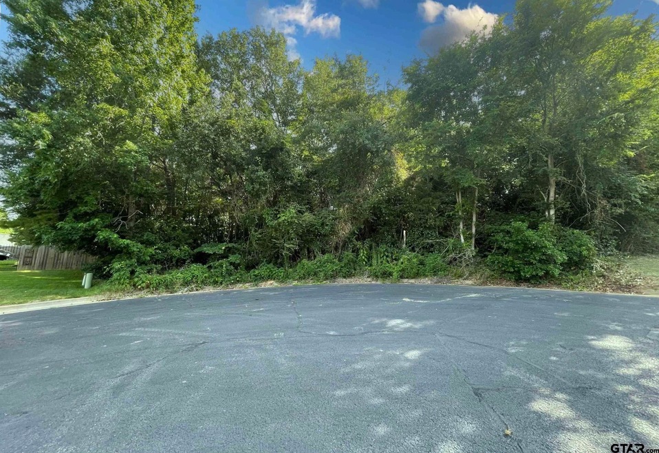 603 Steeple Ct, Tyler, TX 75703 - photo 1