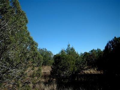 1025 Joseph Dr unit 158, Ash Fork, AZ 86320 - photo 1