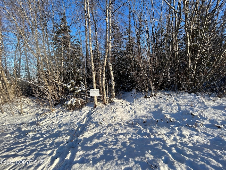 6493 S Viewport Way, Wasilla, AK 99654 - photo 1