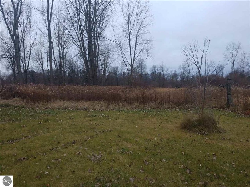 N/A W Mill St, Oscoda, MI 48750 - photo 1