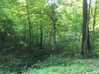 0 Dawley New Pittsburg Rd unit Lot 4 217039443, Logan, OH 43138 - photo 1