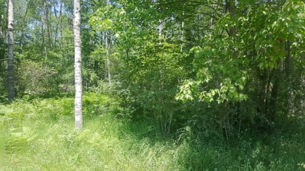 PAR A W 17 Mile Rd, Lilley Township, MI 49309 - photo 1