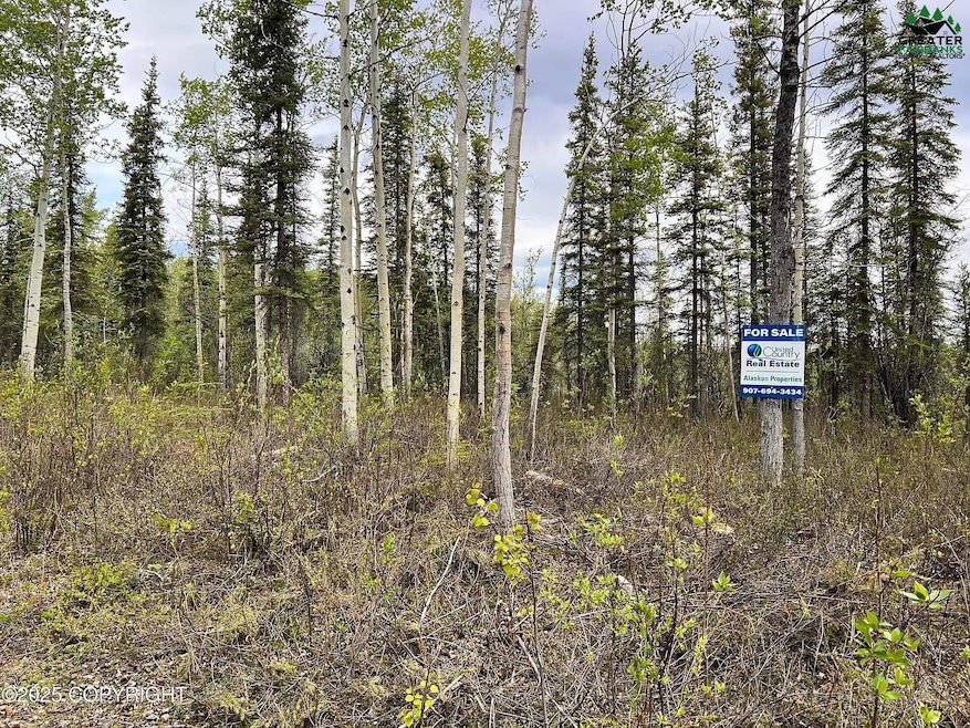 NHN Glennallen 99588 - photo 1