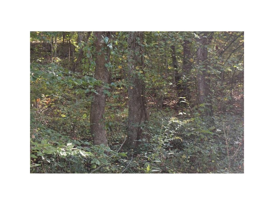 0 Wahoo Creek Rd unit 5927611, Murrayville, GA 30564 - photo 1