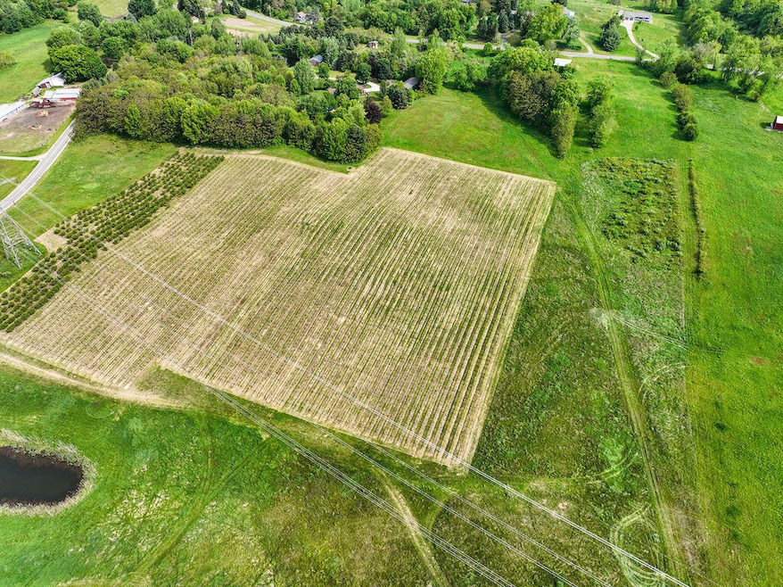 DJI_0390