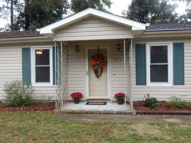 Main View