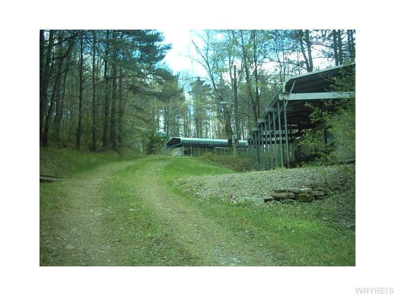 Exterior Front. Looking up driveway