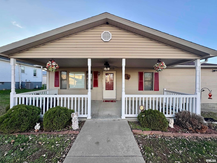 216 S Hubbard Ave, Goreville, IL 62939 - photo 1