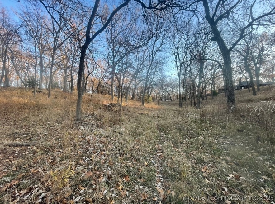 0 Ridge Rd unit 2517984, Afton, OK 74331 - photo 1