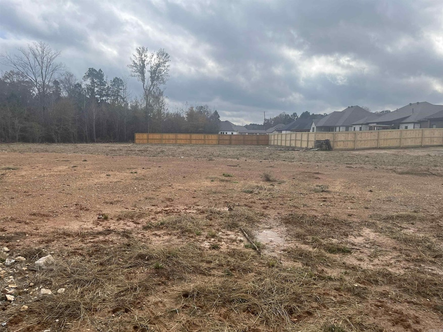 8016 Creek Rock Cove, Alexander, AR 72002 - photo 1