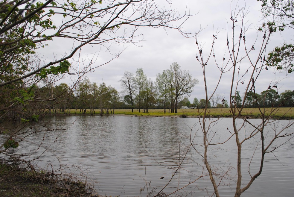 Pond 1