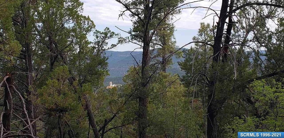 72x Joseph Blane Rd, Silver City, NM 88061 - photo 1