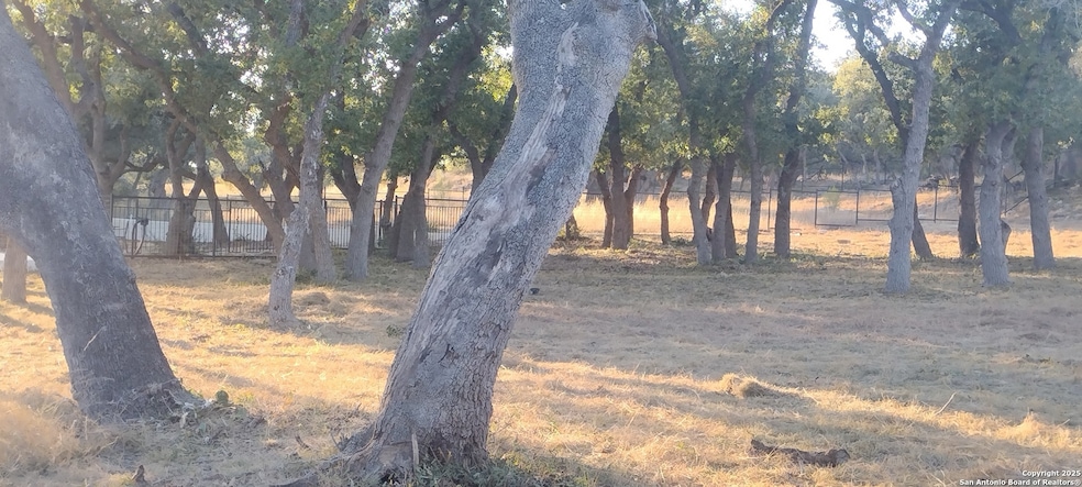 954 Maximino Ridge, Bulverde, TX 78163 - photo 1