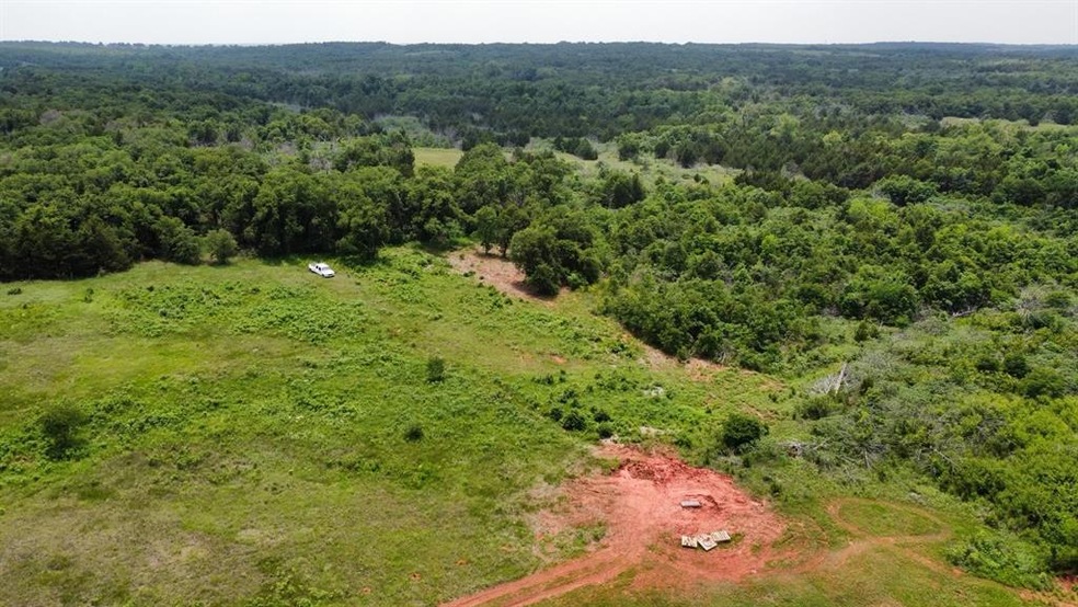 View of bird's eye view